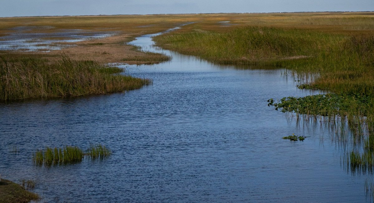 Google, South Florida Water Management partner to tackle critical water programsGoogle Public Sector is partnering with the South Florida Water ...