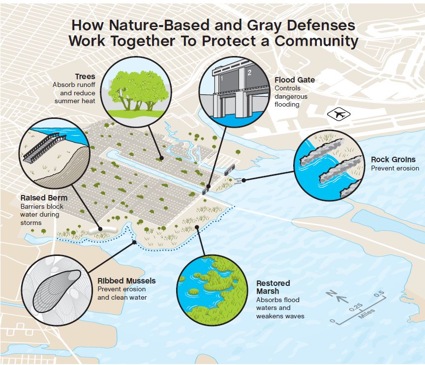 Nature Conservancy Report Reveals Value of Natural Infrastructure in Climate-proofing Cities