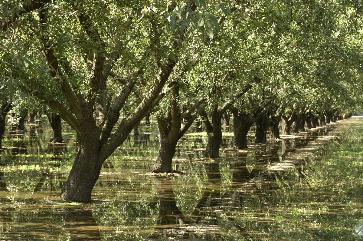UCLA-led researchers track groundwater loss during drought in California’s Central Valley