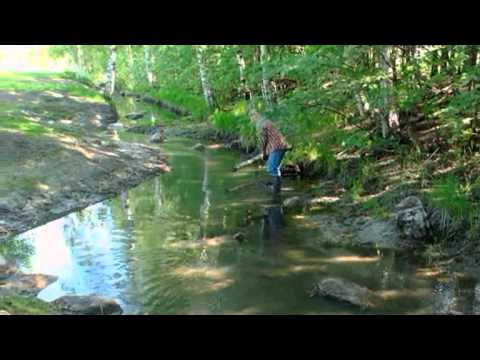 Volunteering to restore an urban stream 
