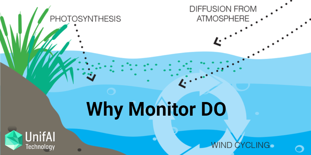Why people Monitor for Dissolved Oxygen?
