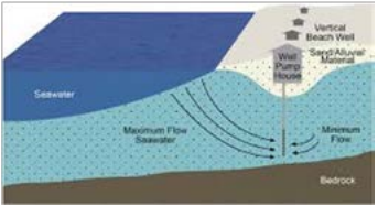 The looming danger of extinguishing unseen planktonic forms revealed