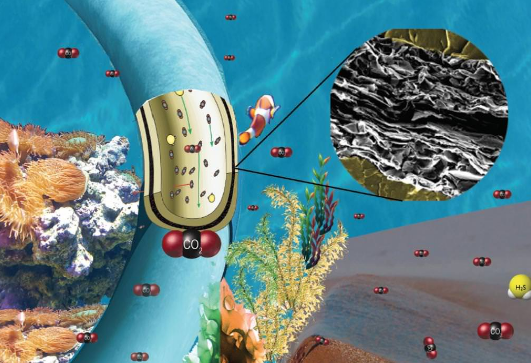 Graphene Laminated Pipes Could Reduce Corrosion in the Oil and Gas Industry