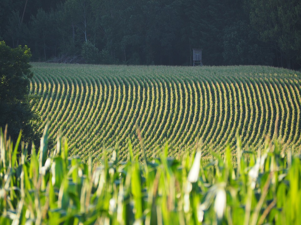 Nutrient Tracking Tool  - Tool to Help Assess the Water Quality Improvements on Farms