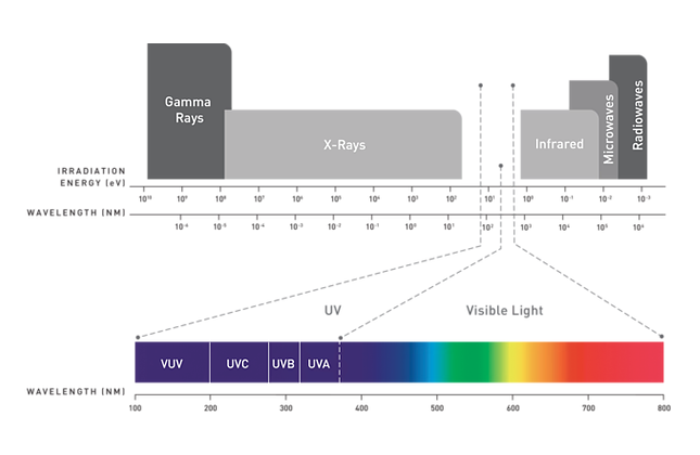 Checking In #4: Dr. Jennifer Pagan & Dr. Rich Simons on UV-C LED for PPE Disinfection