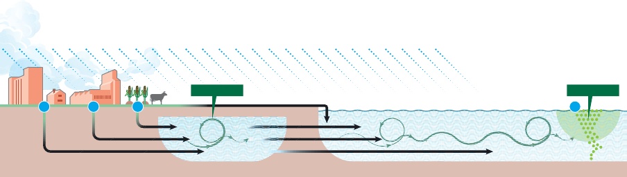 Nitrogen growing threat to LI waters