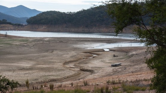 Study exposes global ripple effects of regional water scarcity | Cornell Chronicle