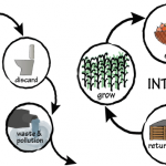 Closing The Water Loops Of The Mediterranean Region With Innovative Regenerative Business Models