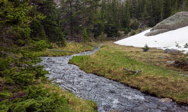 Lakes Impact Ability of Forests to Store Carbon