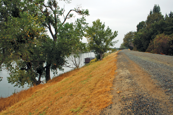 Protracted drought threatens California levees