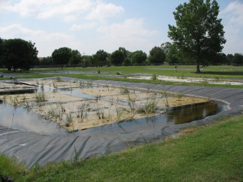 Engineered Floating Wetlands Show Promise for Water Treatment