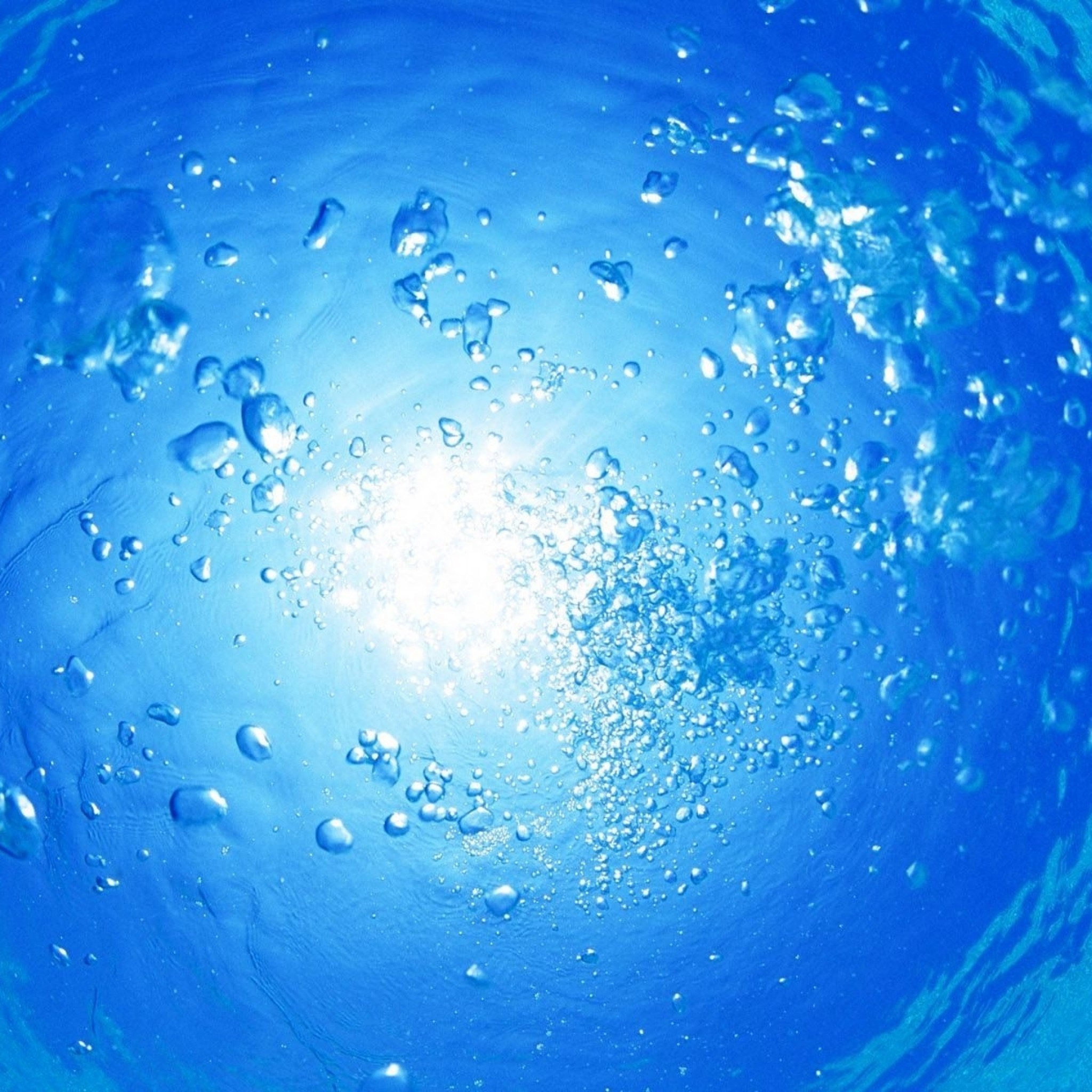 Decades of Data Reveal a Troubling Oxygen Decline in Oceans