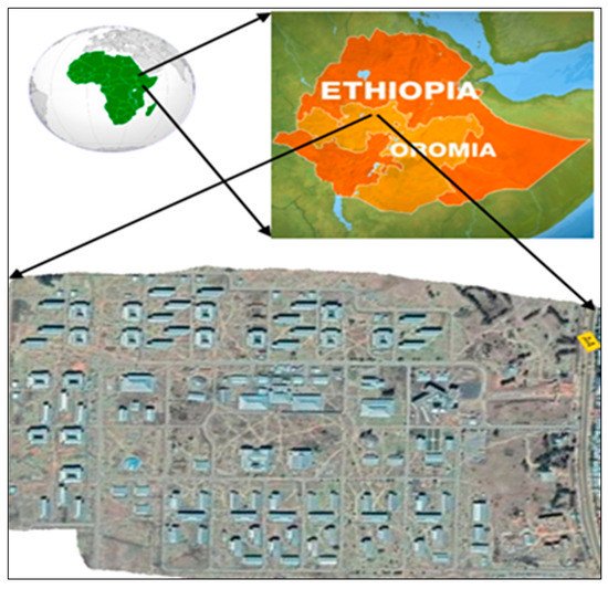 Evaluating Physical and Fiscal Water Leakage in Water Distribution System