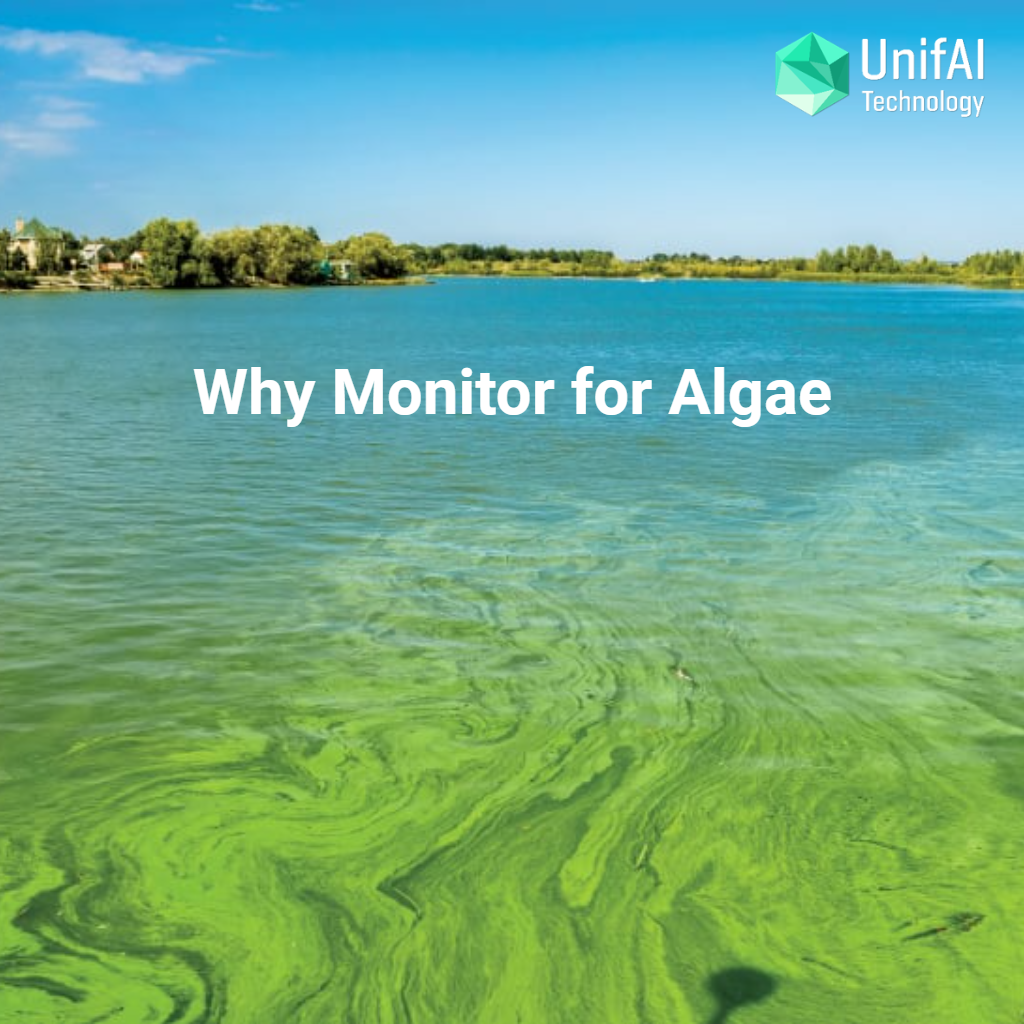 Why people monitor for algae?