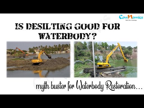 De-silting of the water body is not just a flawed process for restoration but it actually harms the entire aqua-ecology as well as disturbs the ...