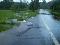 MN develops first-of-its-kind stormwater management program using trees over pipes 