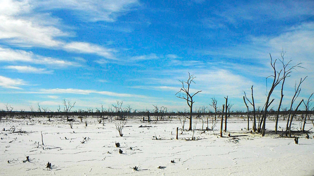 Emergencies of Scarcity and Fresh Water  | The Promise and Practice of Resilient Landscapes