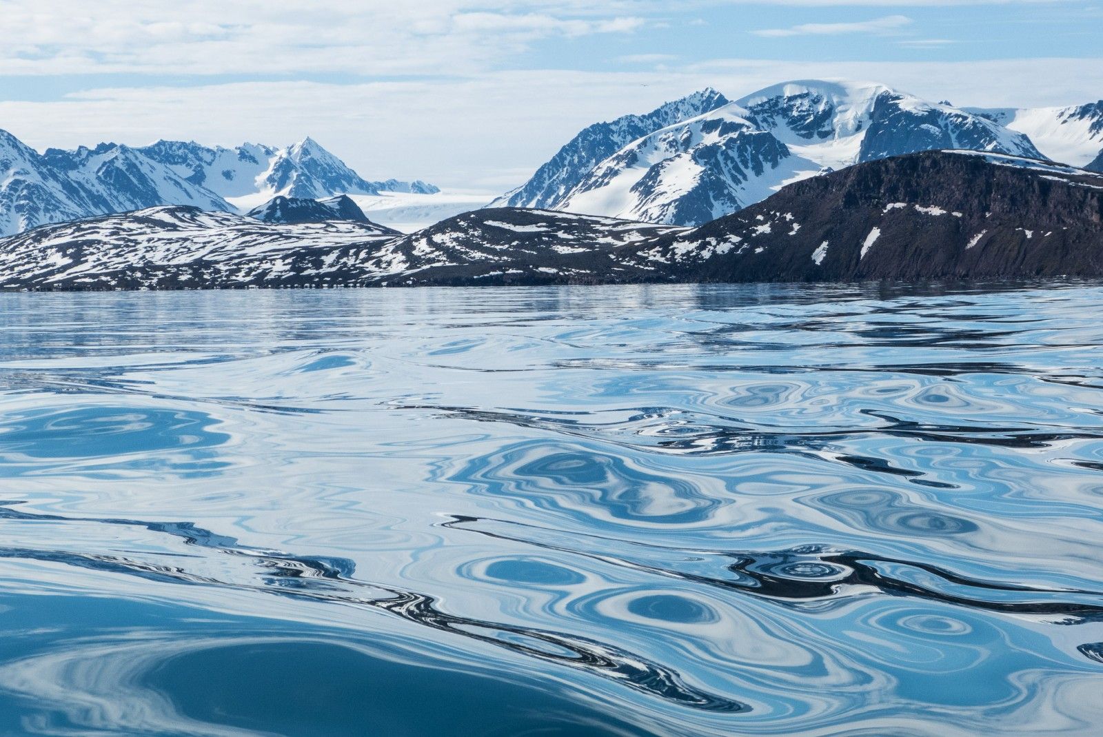 Freshwater Ecosystems in the Arctic