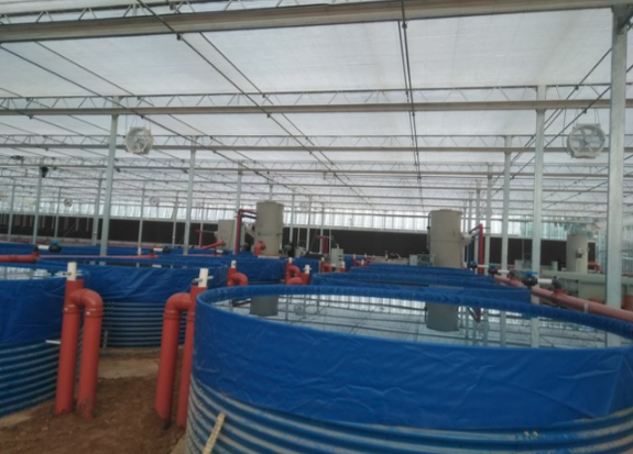 BioFishency ​Raises $2.4 ​Million for its ​Water Treatment ​Systems for ​Aquaculture ​