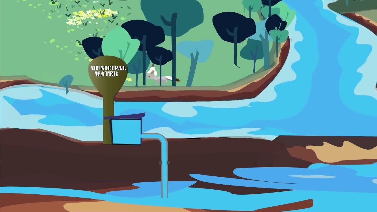Clean Water: A Long Journey from the Source to Our Tap (Video)