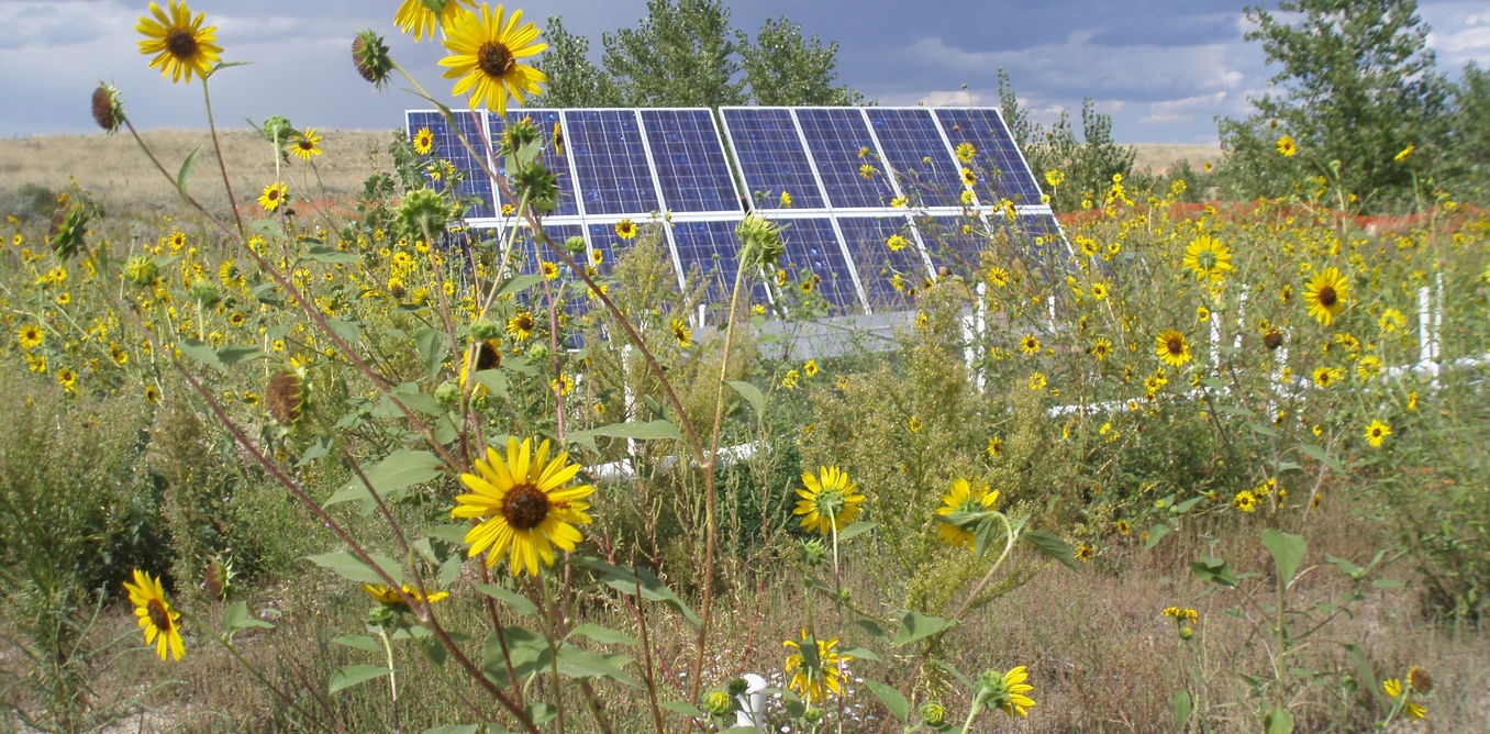 An Electric Fix for Removing Long-lasting Chemicals in Groundwater