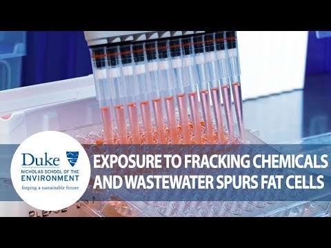 Exposure to Fracking Chemicals and Wastewater Spurs Fat Cells