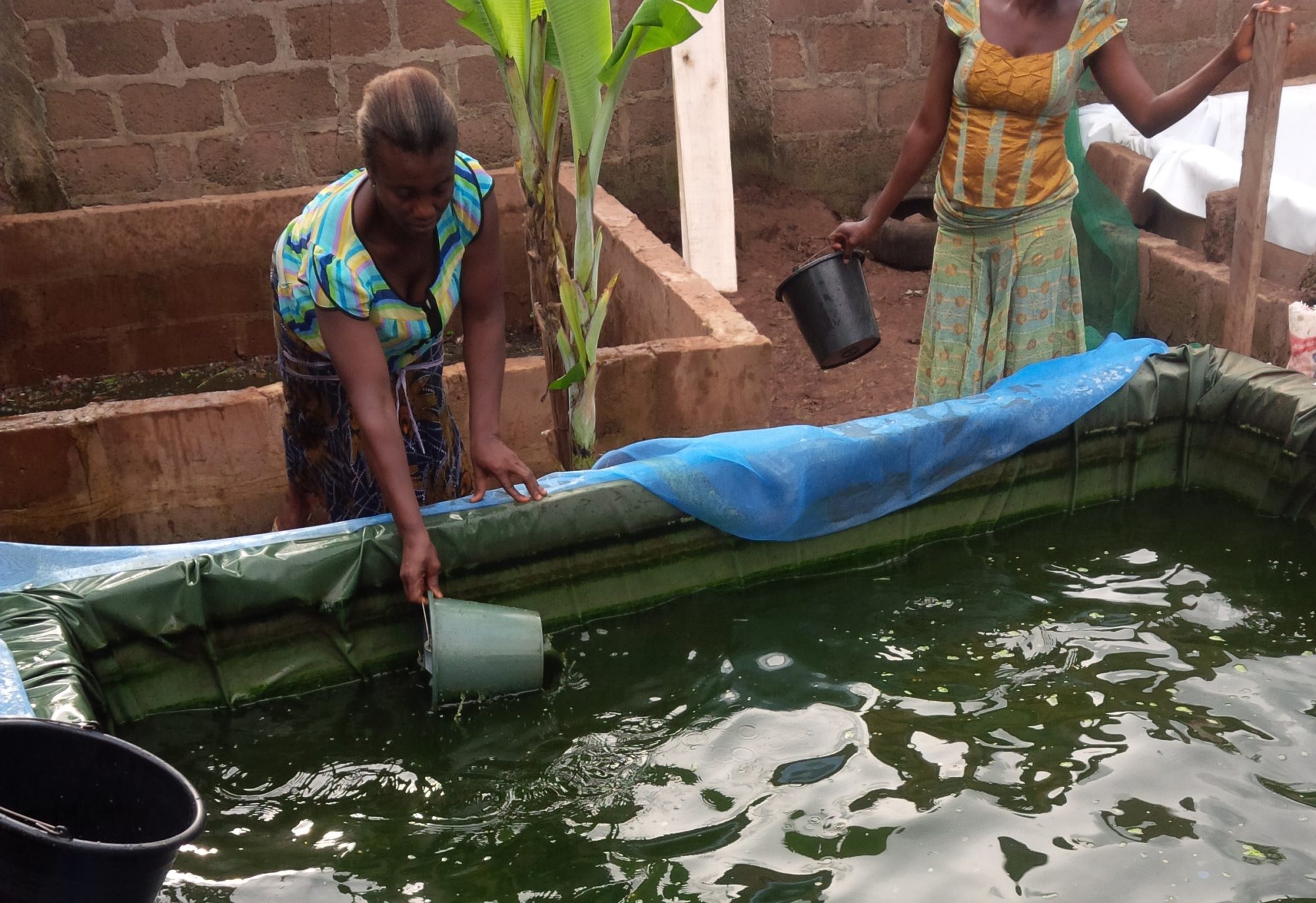 Mrs. Victoria Igboanugo Representative from International Food and Agricultural Development (IFAD) Project Imo State. Received the WAFA Award Ce...