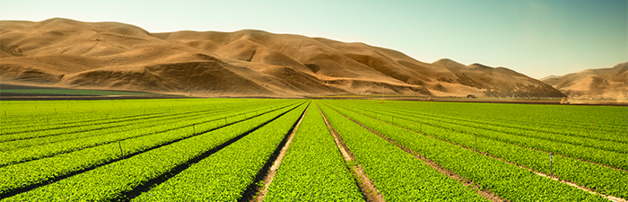 Agriculture’s Role in Nutrient Loss