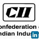 Vipin Varghese, Confederation of Indian Industry - Events Executive