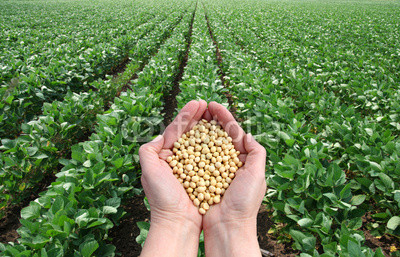 Syngenta Claims Higher Yield with New Fungicides