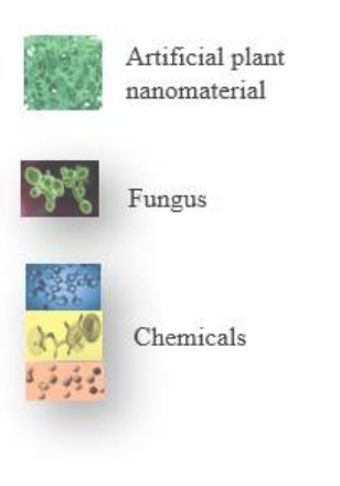 New bioremediation material can clean 'forever chemicals'