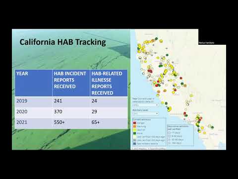CALMS 2021 Annual Conference: Surface Water Ambient Monitoring Program UpdatesDay 2 of the California Lake Management Society 2021 Annual Confer...
