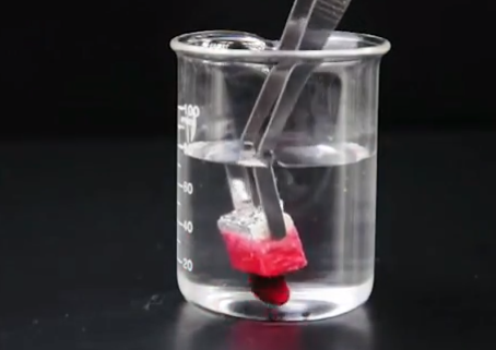 Wood Sponge Soaks up Oil from Water (Video)