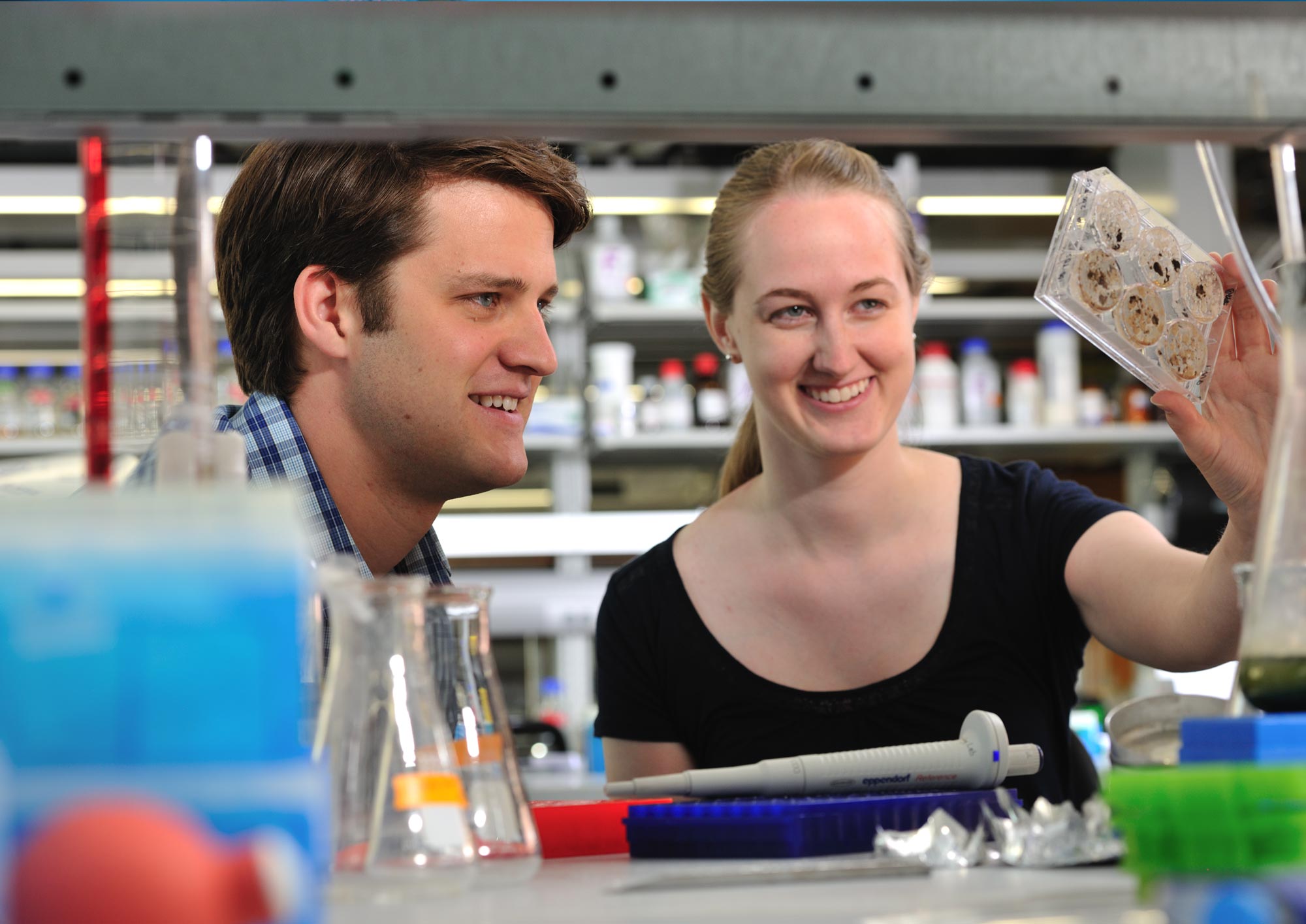 Can common human gut bacteriophages help identify contaminated water?