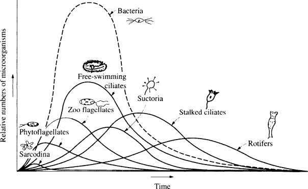 Part 1: Troubleshooting Biological Processes in Wastewater Treatment Systems** 🔧Troubleshooting biological processes in wastewater treatment ...