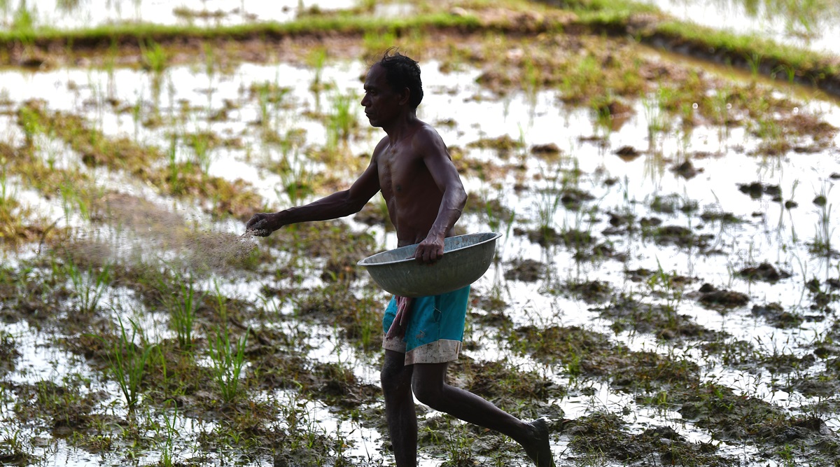 World Food Prize Laureate hails DSR as solution to Punjab’s water crisis