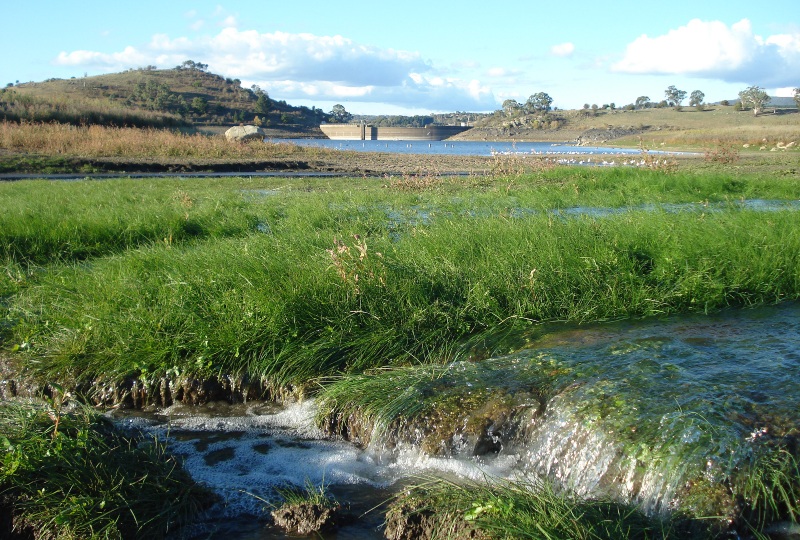 Harvesting Urban Stormwater to Supply Potable Drinking Water (Case Study)