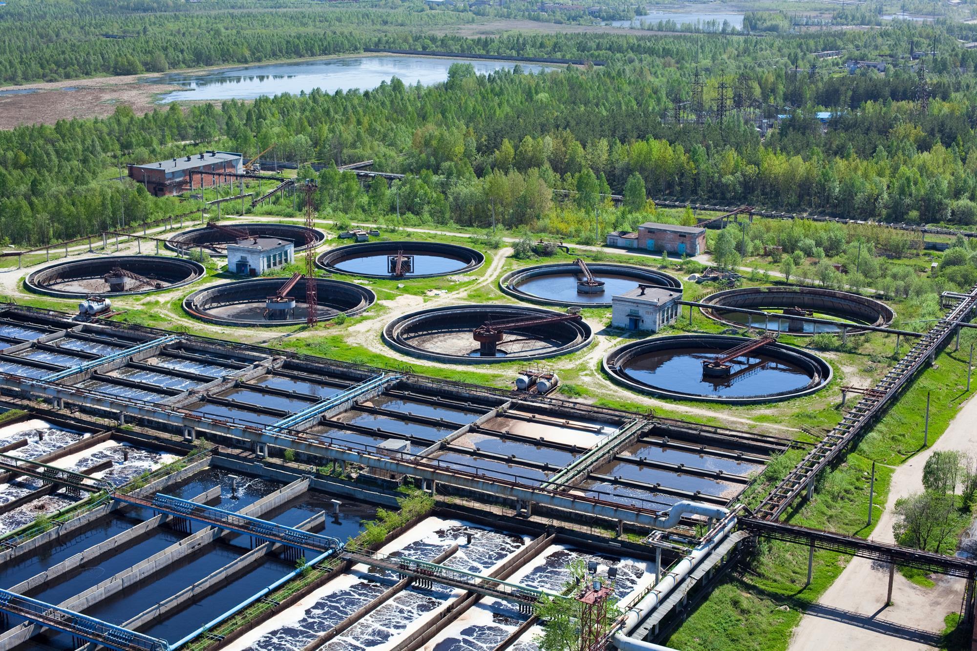 Wastewater Plant Upgrade Fixes Fish Feminisation Problem