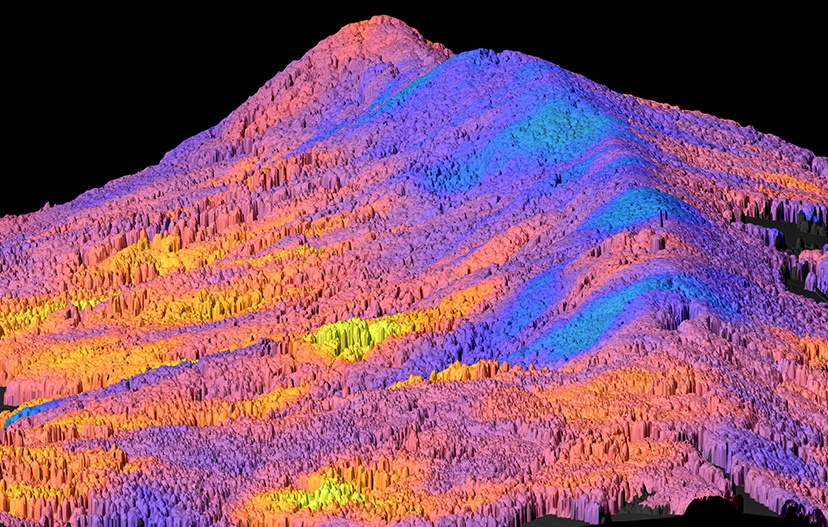 Mapping Functional Diversity of Forests with Remote Sensing