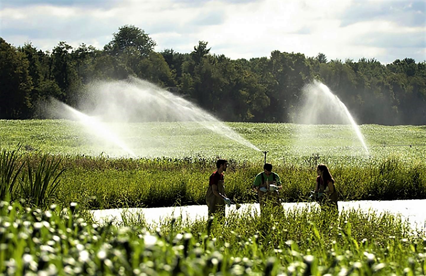 Soil could Filter Antibiotics from Treated Wastewater, Protecting Groundwater