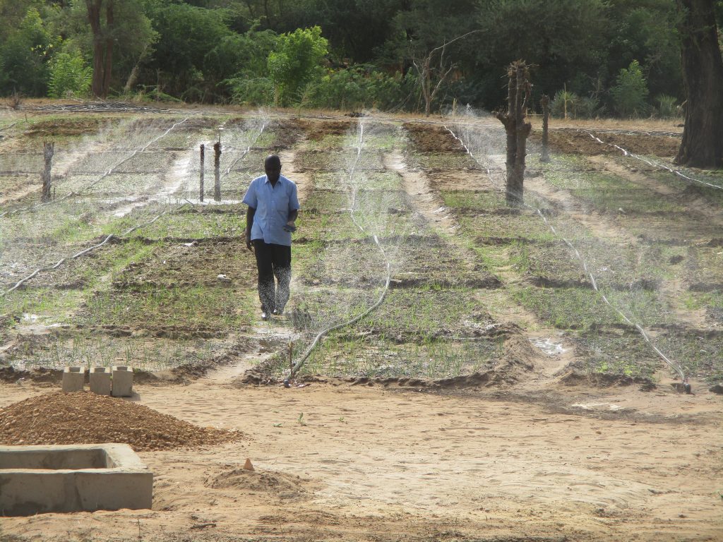 NIGER: Startup company launches solar-powered remote irrigation system | Afrik 21