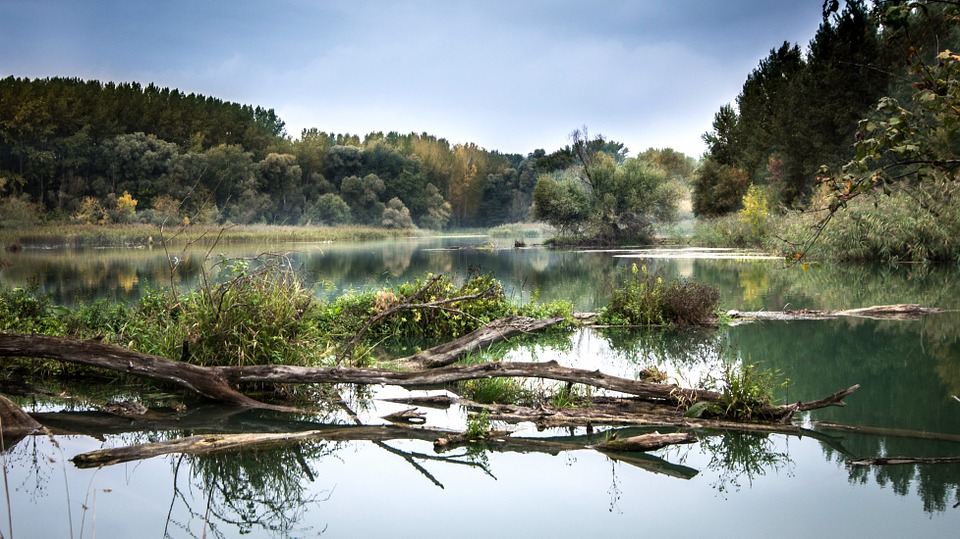 Pollution Control of Rivers Can Reduce Impact of Climate Warming