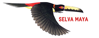 Selva Maya Programme