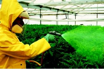 Agricultural Insecticides Harm Surface Water 
