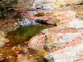 New water-tracing technology helps protect groundwater