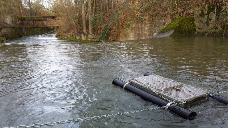 Impact of ​Different ​Wastewater ​Treatment ​Technologies on ​Effluent-​exposed ​Fish