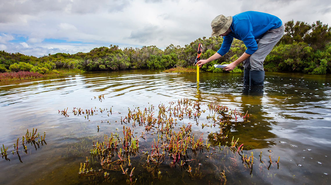 Nuclear Science can Help Save Wetlands, IAEA COP27 Event Highlights