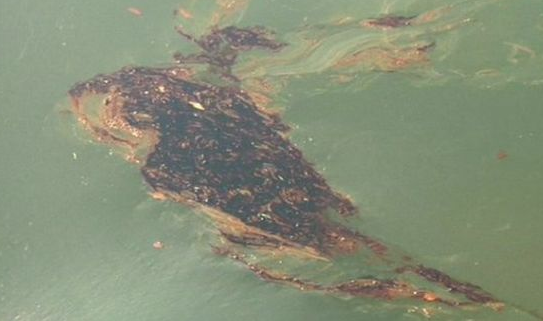 Oil Spill in Tabasco Leaves 200,000 without Water