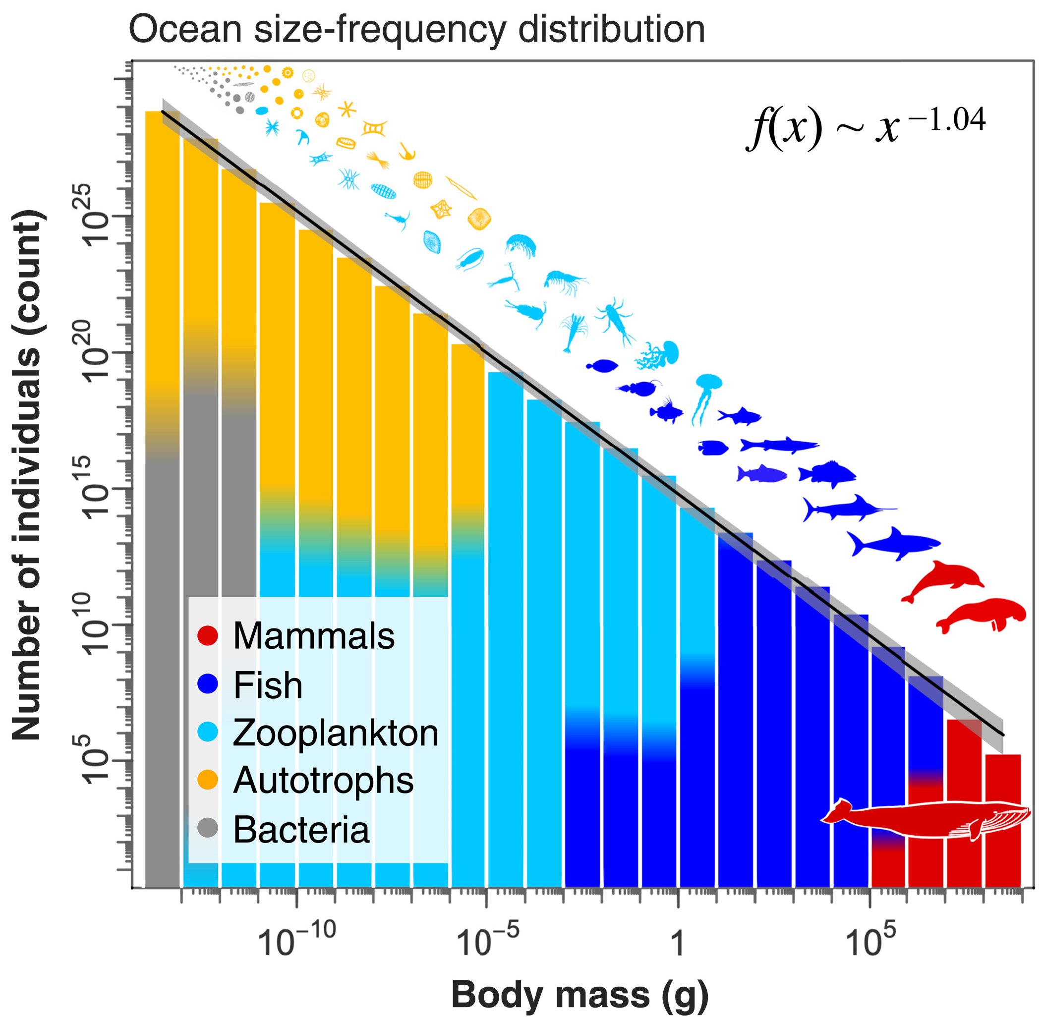 Humans Have Broken One of The Natural Power Laws Governing Earth's Oceans"It seems that we have broken the size spectrum &ndash; one of the largest ...