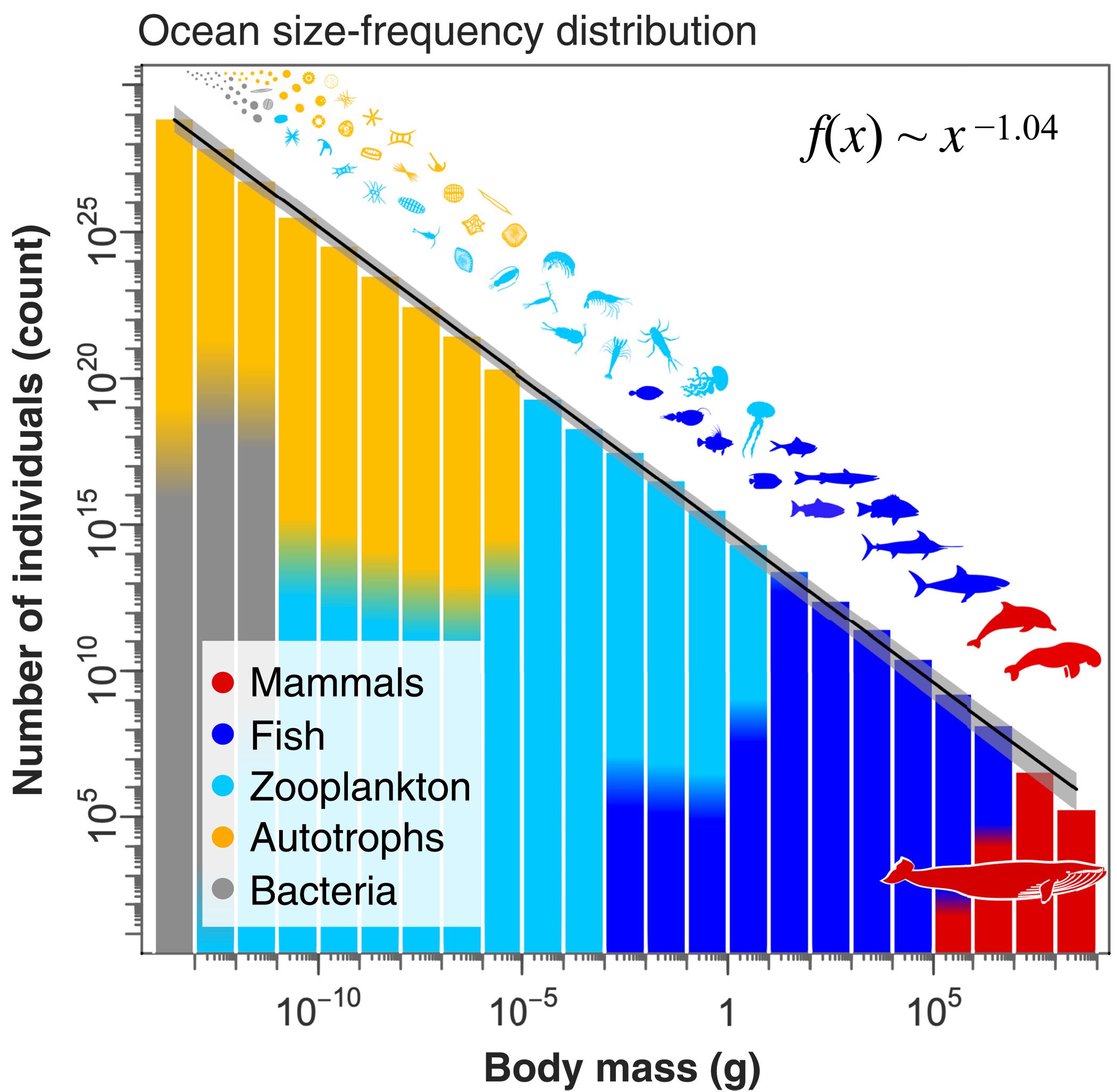 Humans Have Broken One of The Natural Power Laws Governing Earth&#039;s Oceans"It seems that we have broken the size spectrum &ndash; one of the largest ...